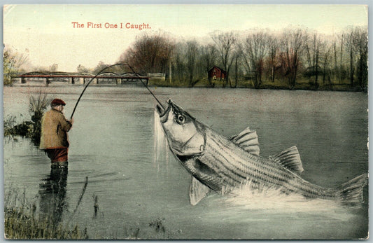 EXAGGERATED FISHING ANTIQUE POSTCARD THE FIRST FISH I CAUGHT