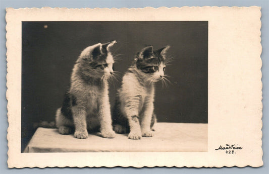 PHOTOGRAPHER SIGNED VINTAGE AUSTRIAN REAL PHOTO POSTCARD RPPC w/ 2 CATS