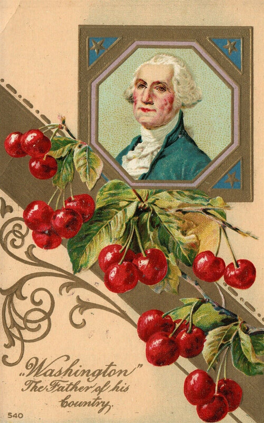 WASHINGTON FATHER OF HIS COUNTRY EMBOSSED ANTIQUE PATRIOTIC POSTCARD