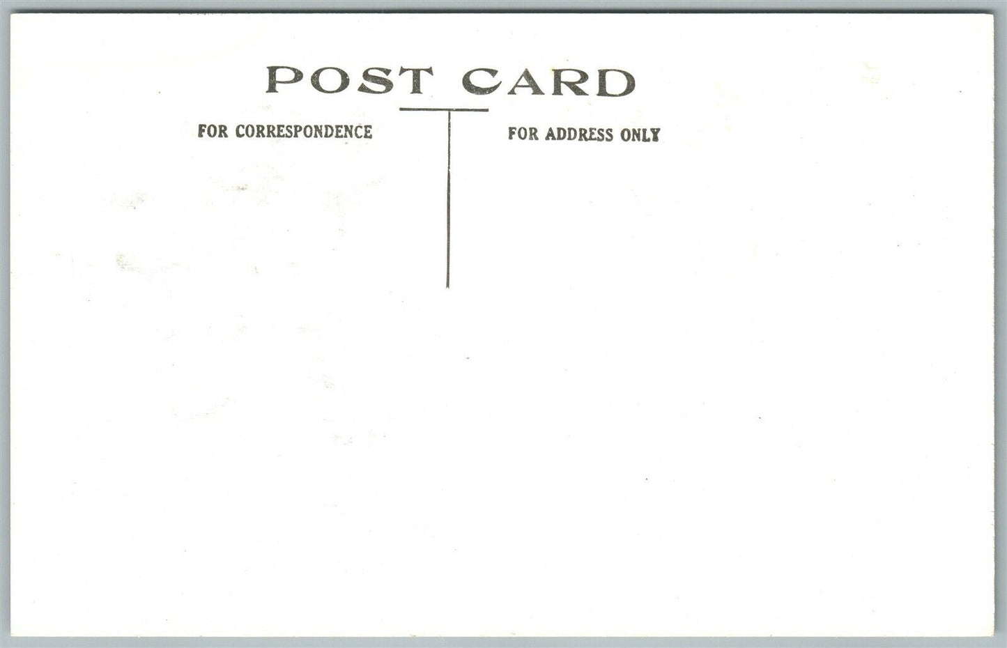 EXAGGERATED ANTIQUE POSTCARD MARKET DAY FARMING