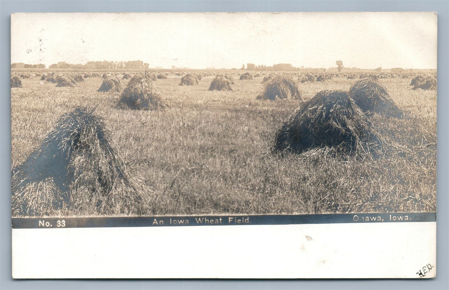 ONAWA IA WHEAT FIELD ANTIQUE REAL PHOTO POSTCARD RPPC