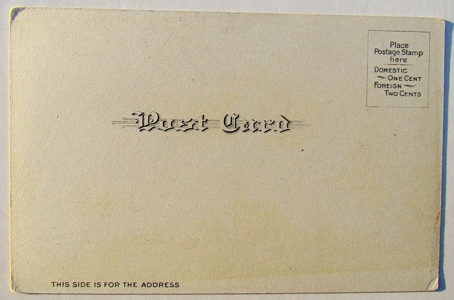 VINTAGE POSTCARD SHASTA SPRINGS CALIFORNIA railway STATION railroad train DEPOT