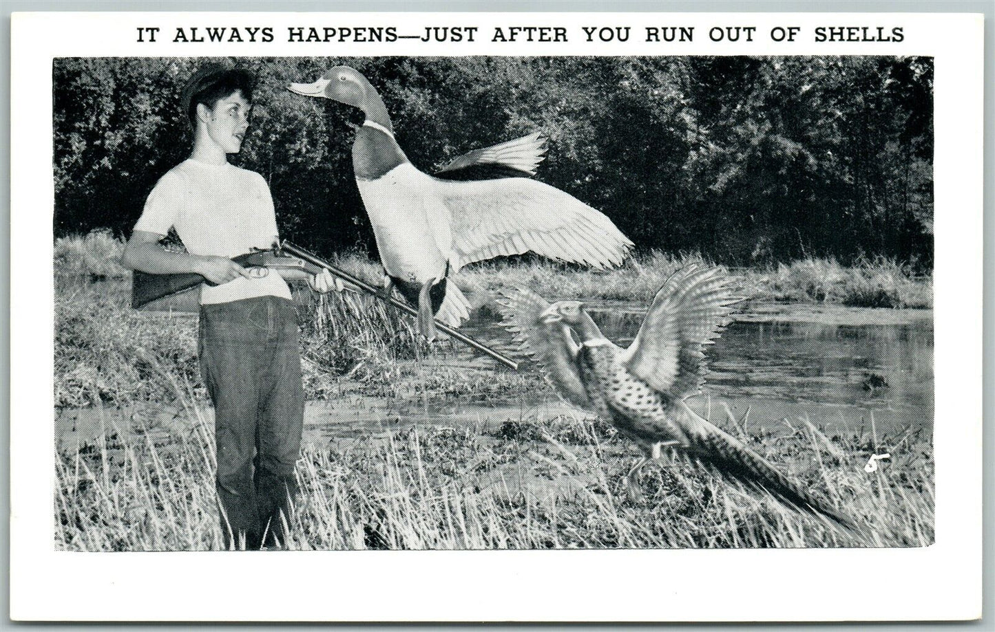 EXAGGERATED DUCK & PHEASANT HUNTING VINTAGE POSTCARD