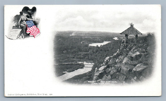 NEW HAVEN CT WHITNEY LAKE ANTIQUE POSTCARD by ARTHUR LIVINGSTON