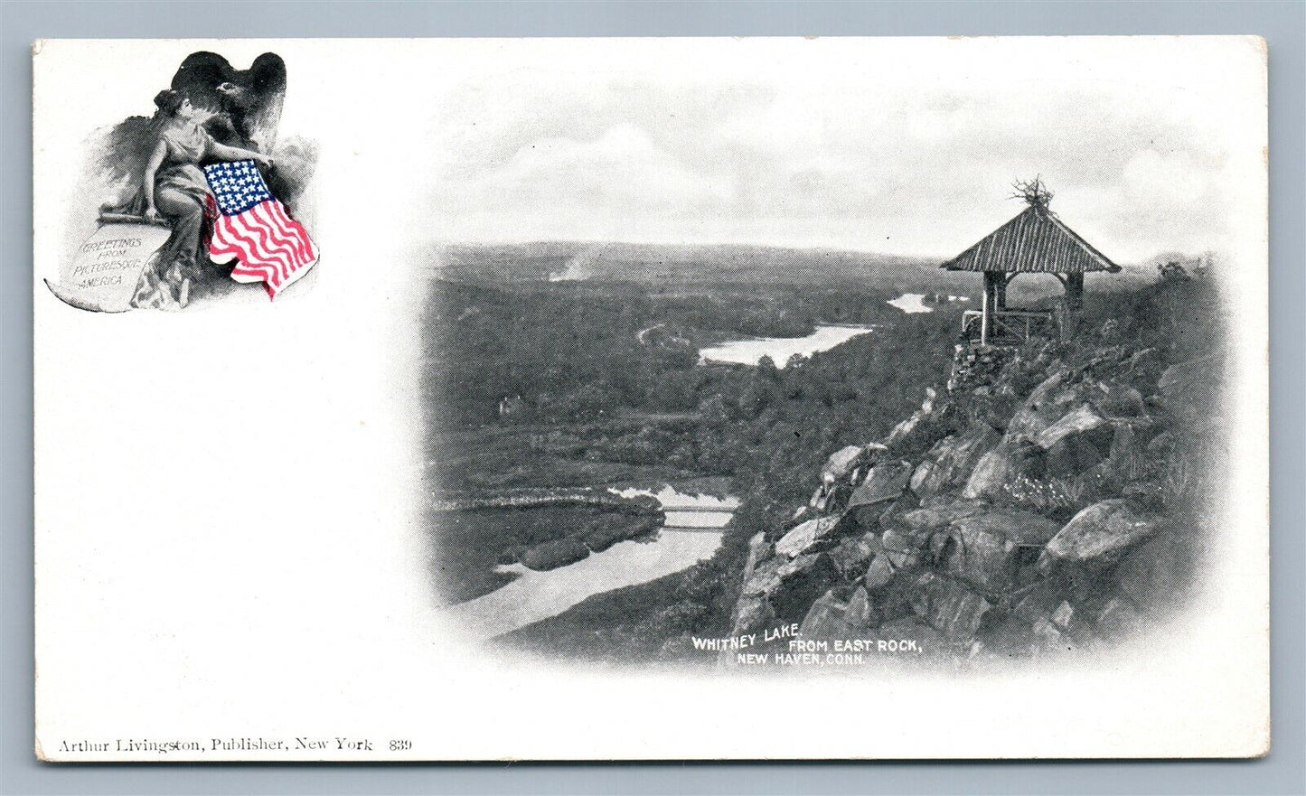 NEW HAVEN CT WHITNEY LAKE ANTIQUE POSTCARD by ARTHUR LIVINGSTON