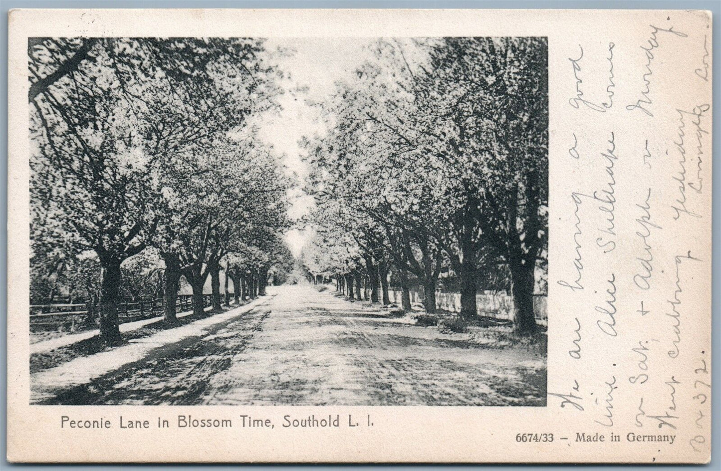 SOUTHOLD LONG ISLAND NY PECONIE LANE 1909 UNDIVIDED ANTIQUE POSTCARD