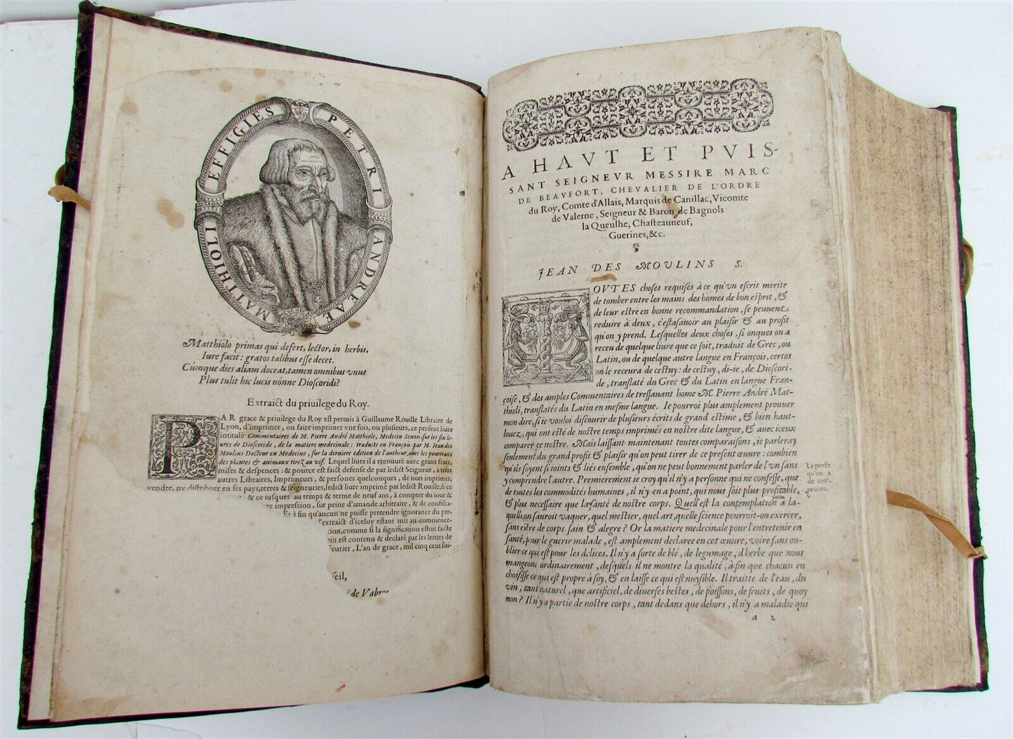 1579 MATTHIOLE COMMENTARIES ILLUSTRATED PLANTS ANIMALS antique 16th cent. FOLIO