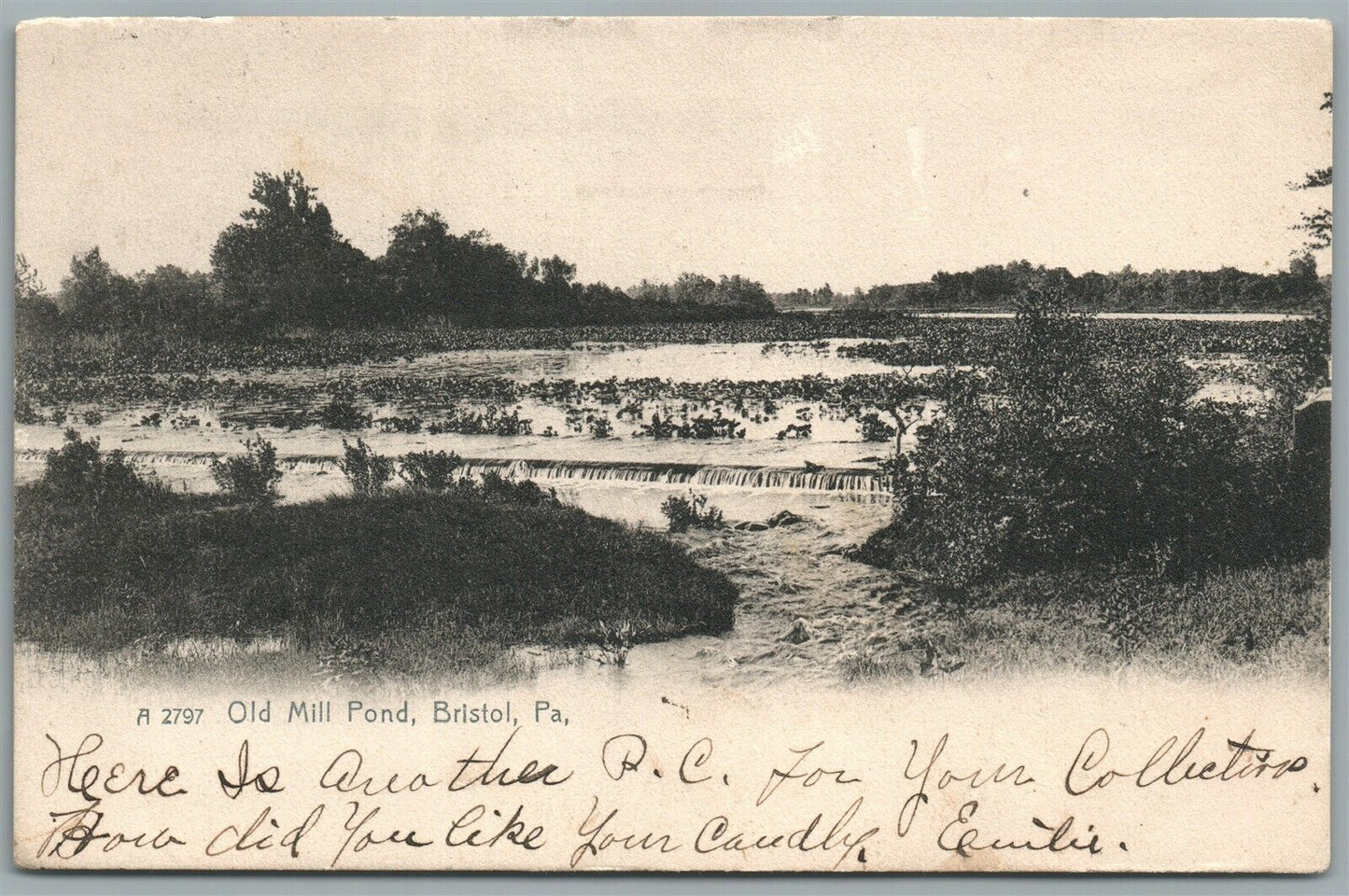 BRISTOL PA OLD MILL POND ANTIQUE POSTCARD