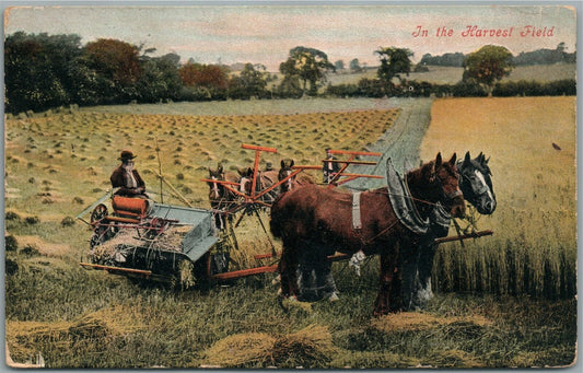 HARVEST FIELD NE ANTIQUE POSTCARD