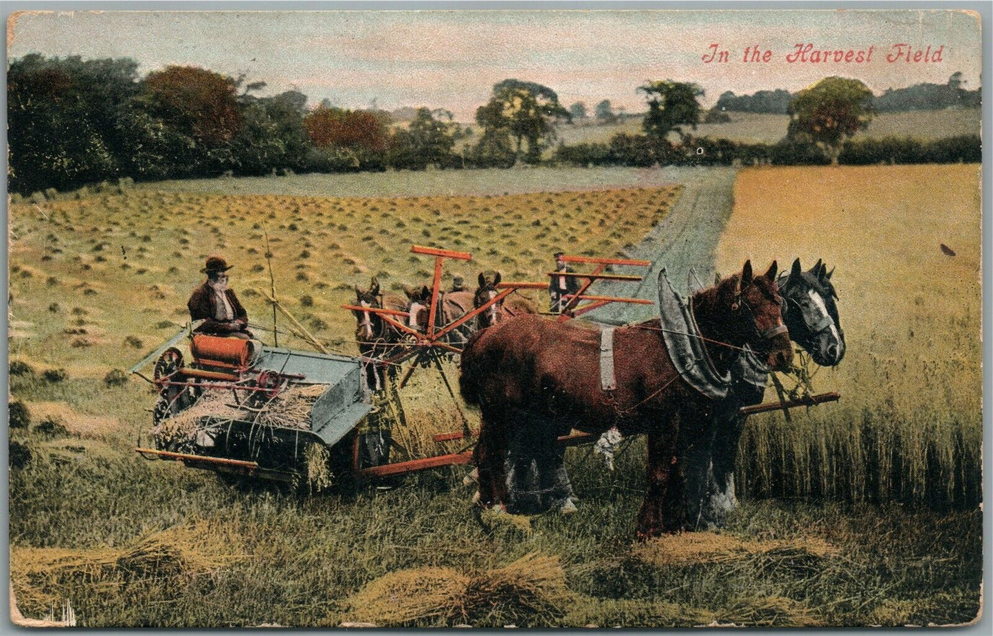 HARVEST FIELD NE ANTIQUE POSTCARD