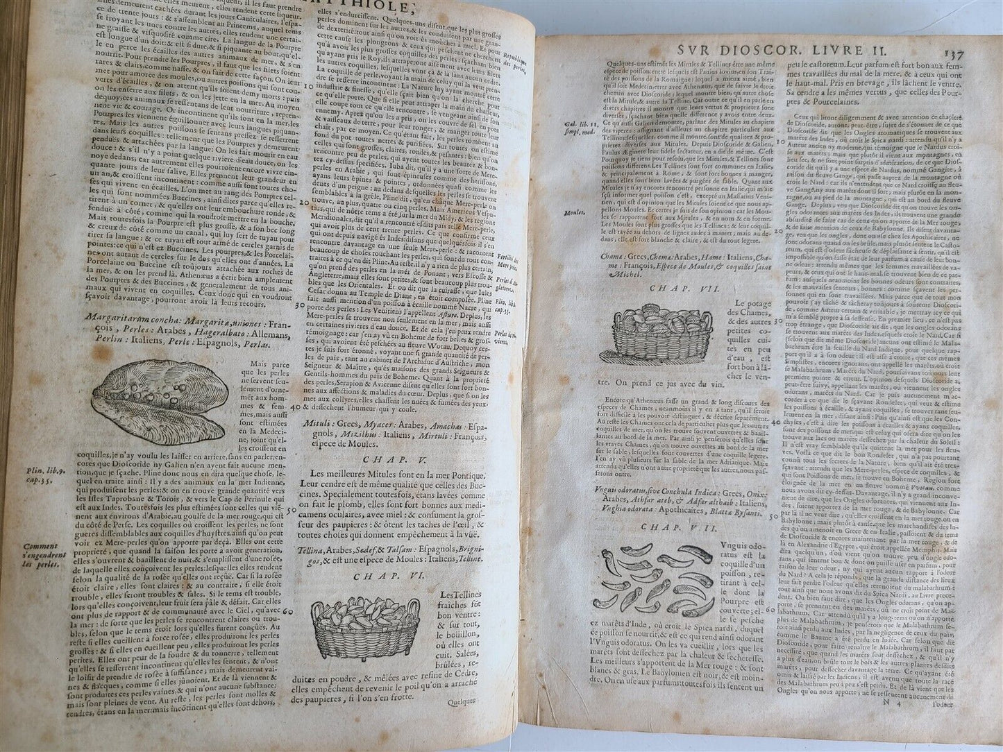 1680 MEDICAL PLANTS ILLUSTRATED w/ 1478 woodcuts antique by Mattioli FOLIO rare