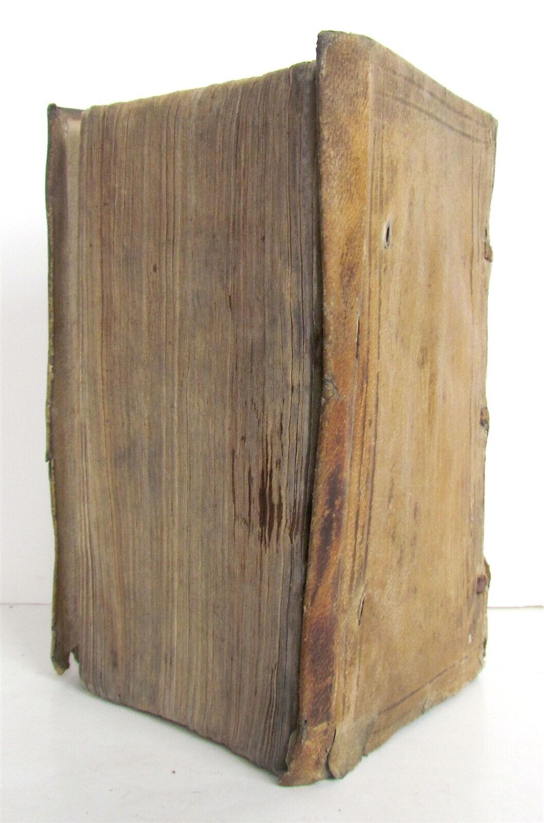 1624 CASPARIS ENS EPIDORPIDUM antique
