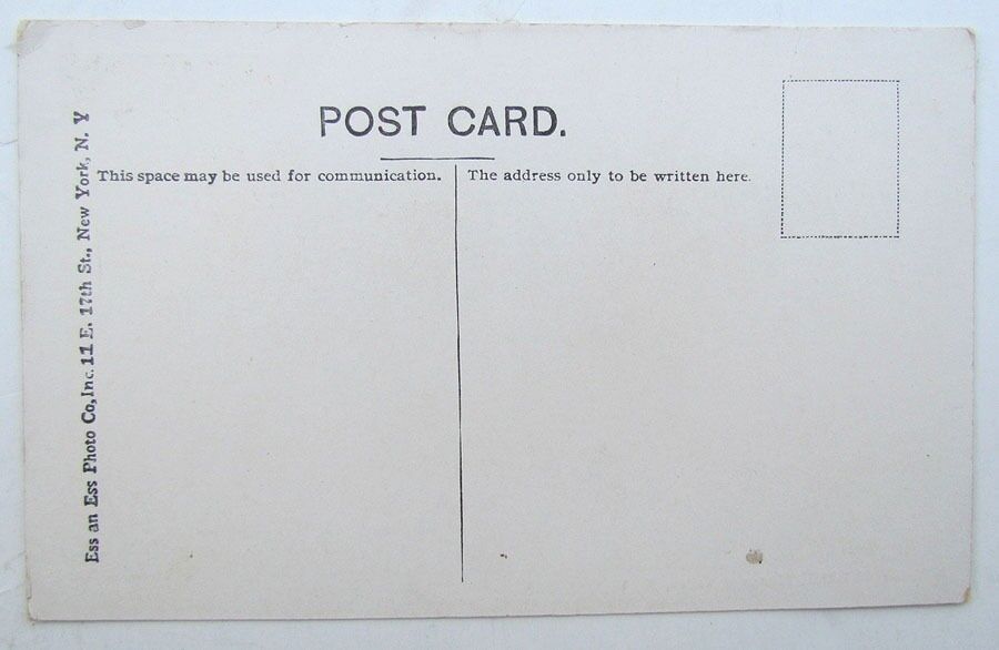 VINTAGE POSTCARD - MAIN STREET MONGAUP VALLEY NY scene New York