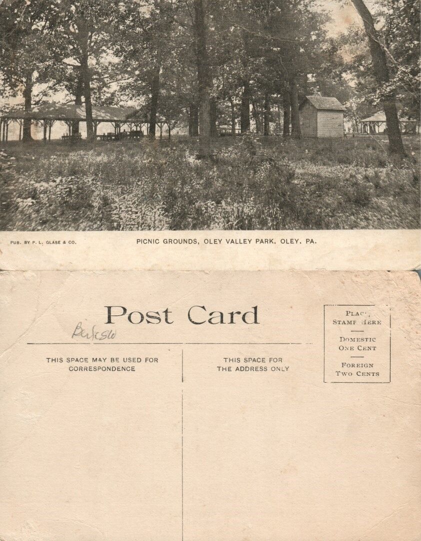 OLEY PA PUBLIC GROUNDS OLEY VALLEY PARK ANTIQUE POSTCARD