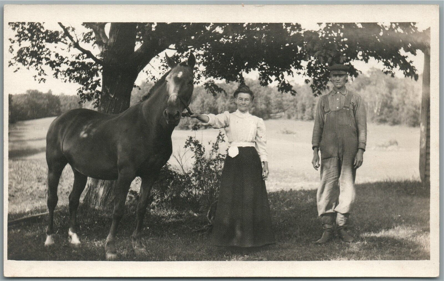 FAMILY COUPLE w/ HORSE ANTIQUE REAL PHOTO POSTCARD RPPC