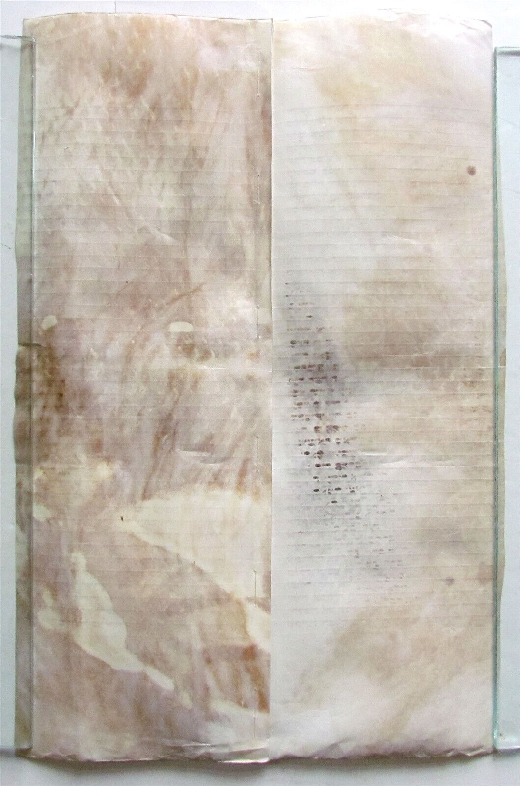 TORAH SCROLL FRAGMENT MANUSCRIPT VELLUM ANTIQUE BIBLE DEUTERONOMY 12:31-14:26