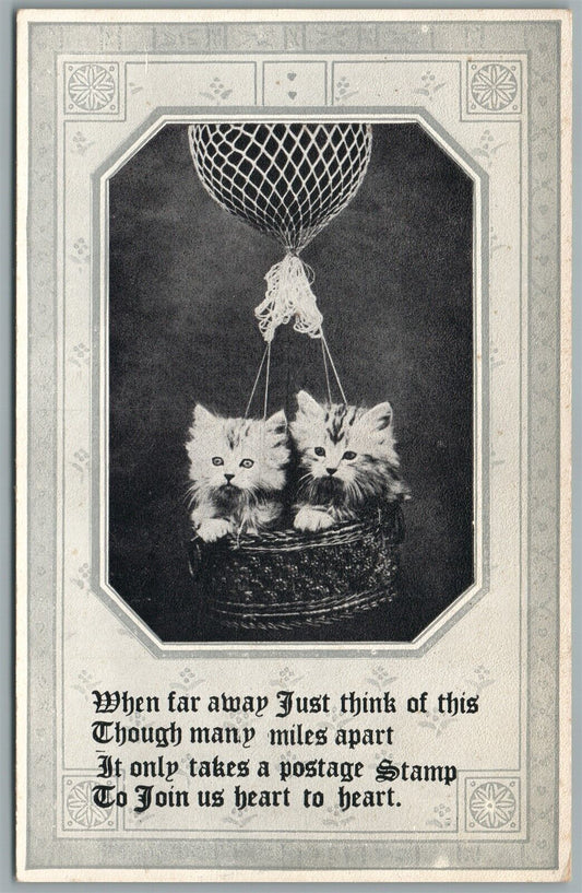CATS in BASKET - THE ALARM ANTIQUE POSTCARD
