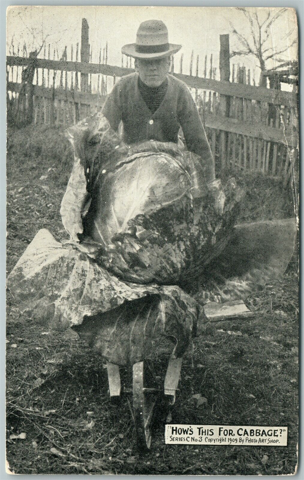EXAGGERATED CABBAGE in WHEELBARROW ANTIQUE POSTCARD