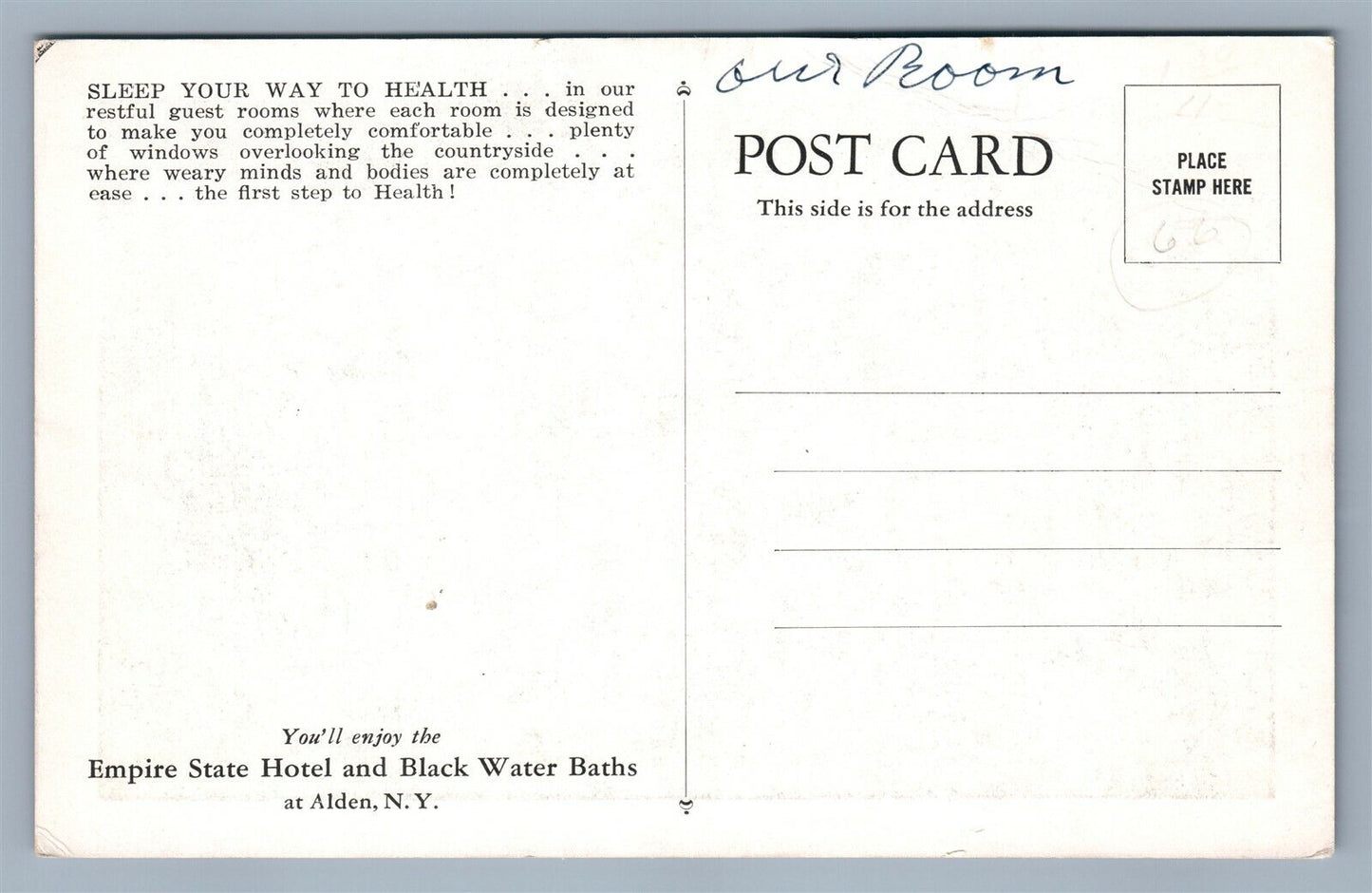 ALDEN NY EMPIRE STATE HOTEL ANTIQUE POSTCARD