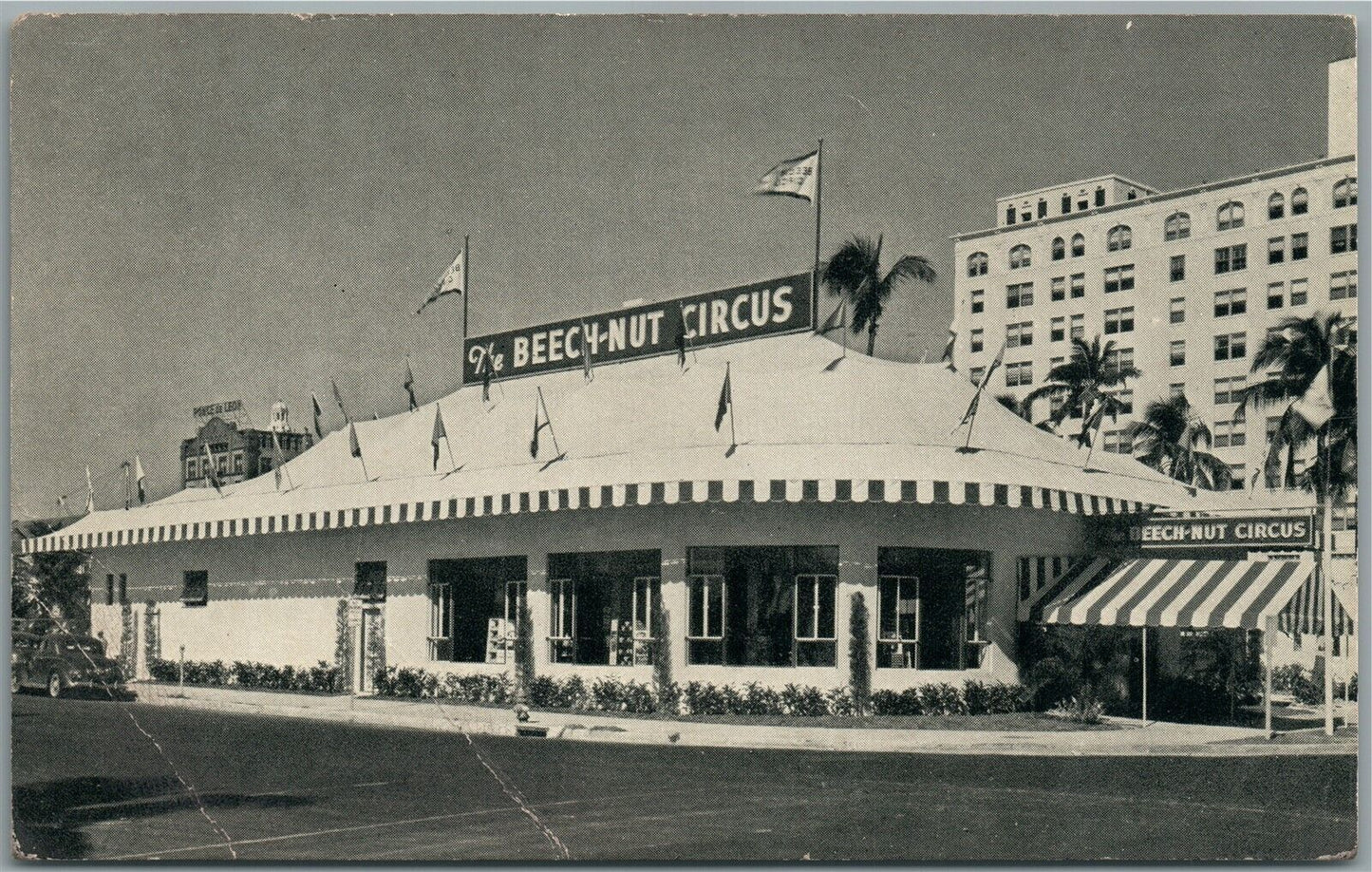 MIAMI FL THE BEECH NUT CIRCUS VINTAGE POSTCARD
