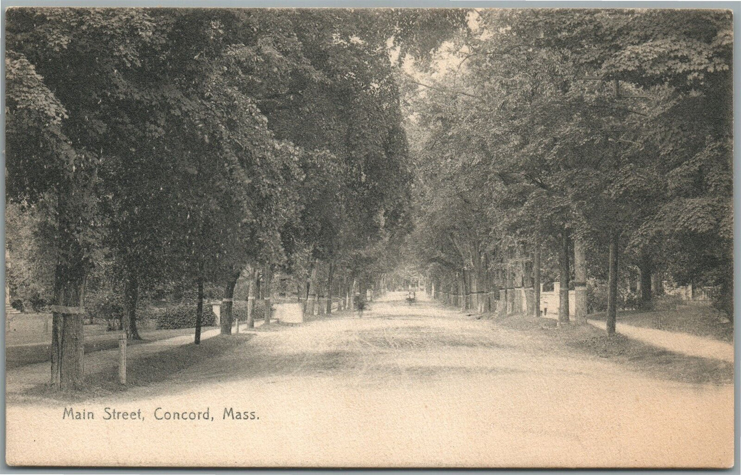 CONCORD MA MAIN STREET ANTIQUE POSTCARD
