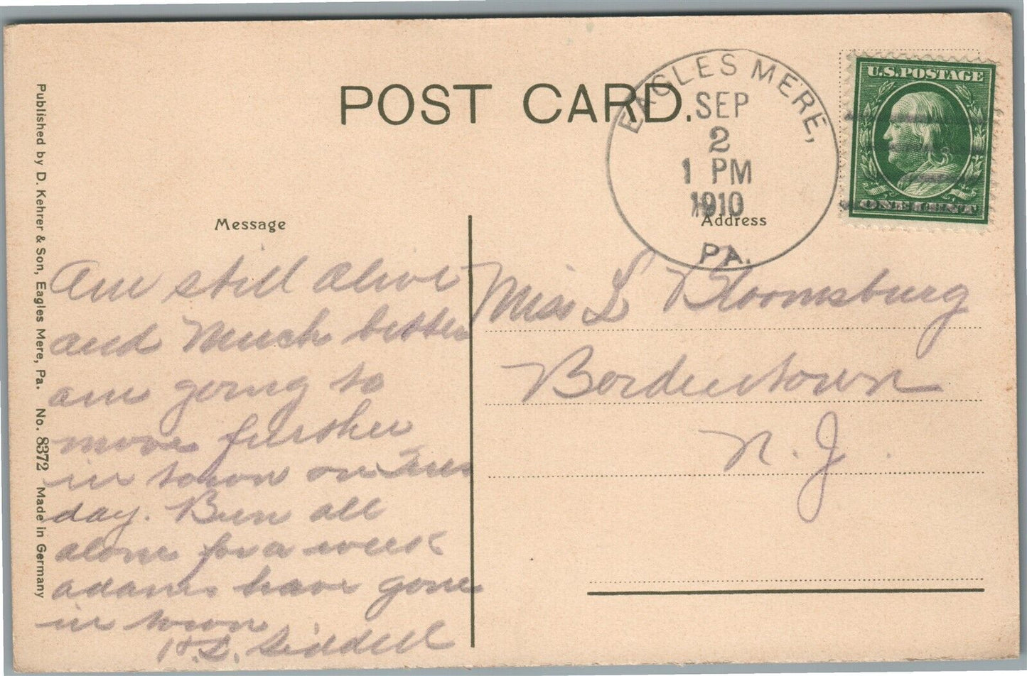 EAGLES MERE PARK PA STREET SCENE ANTIQUE POSTCARD