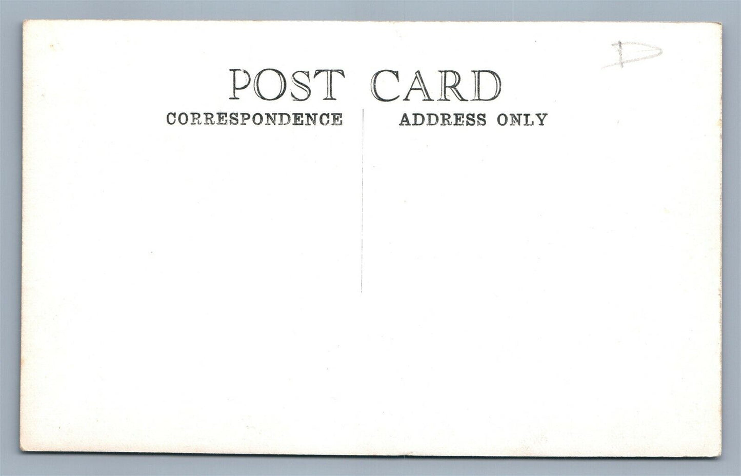 DEVILS LAKE MI WHITE SWAN ELECTRIC TOWER VINTAGE REAL PHOTO POSTCARD RPPC