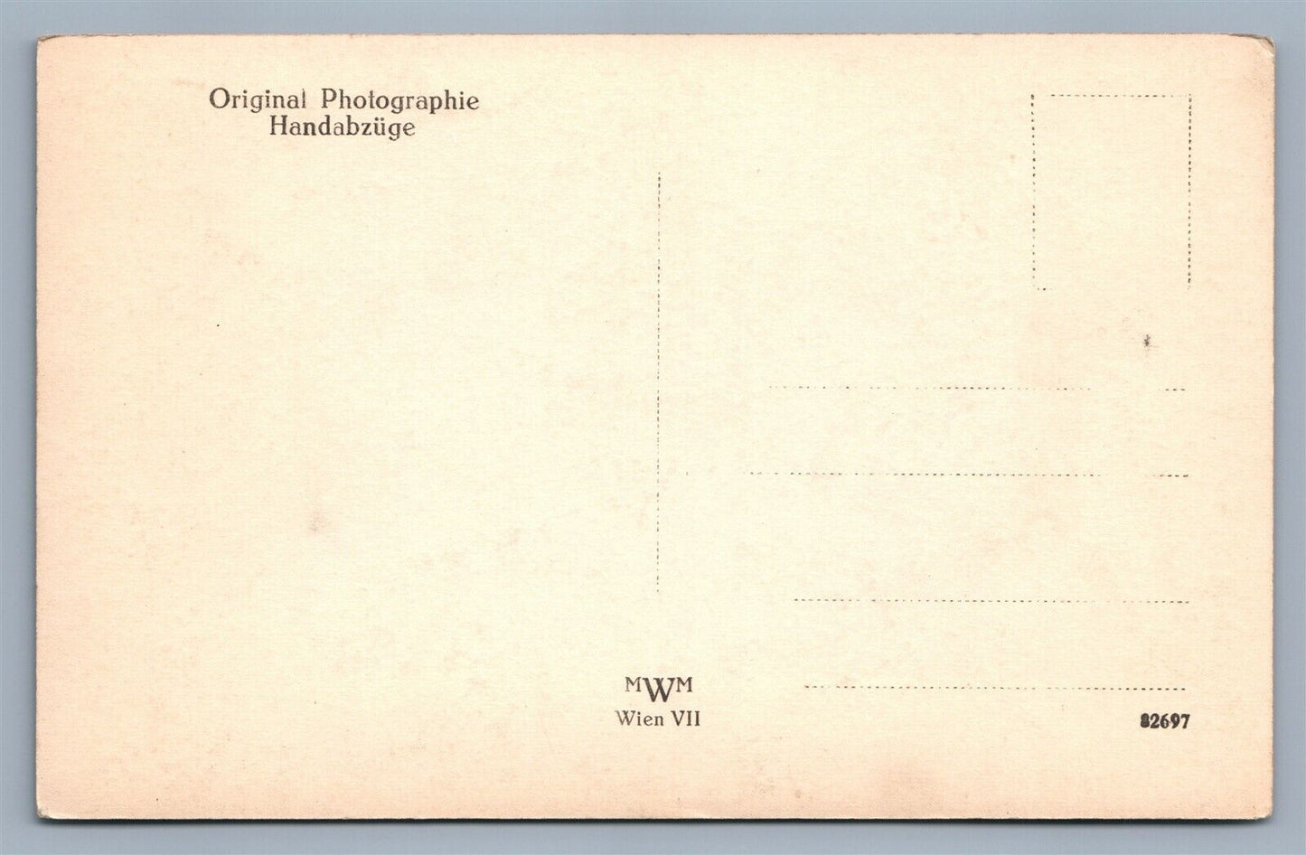 HUNTING CAT PHOTOGRAPHER SIGNED VINTAGE AUSTRIAN REAL PHOTO POSTCARD RPPC