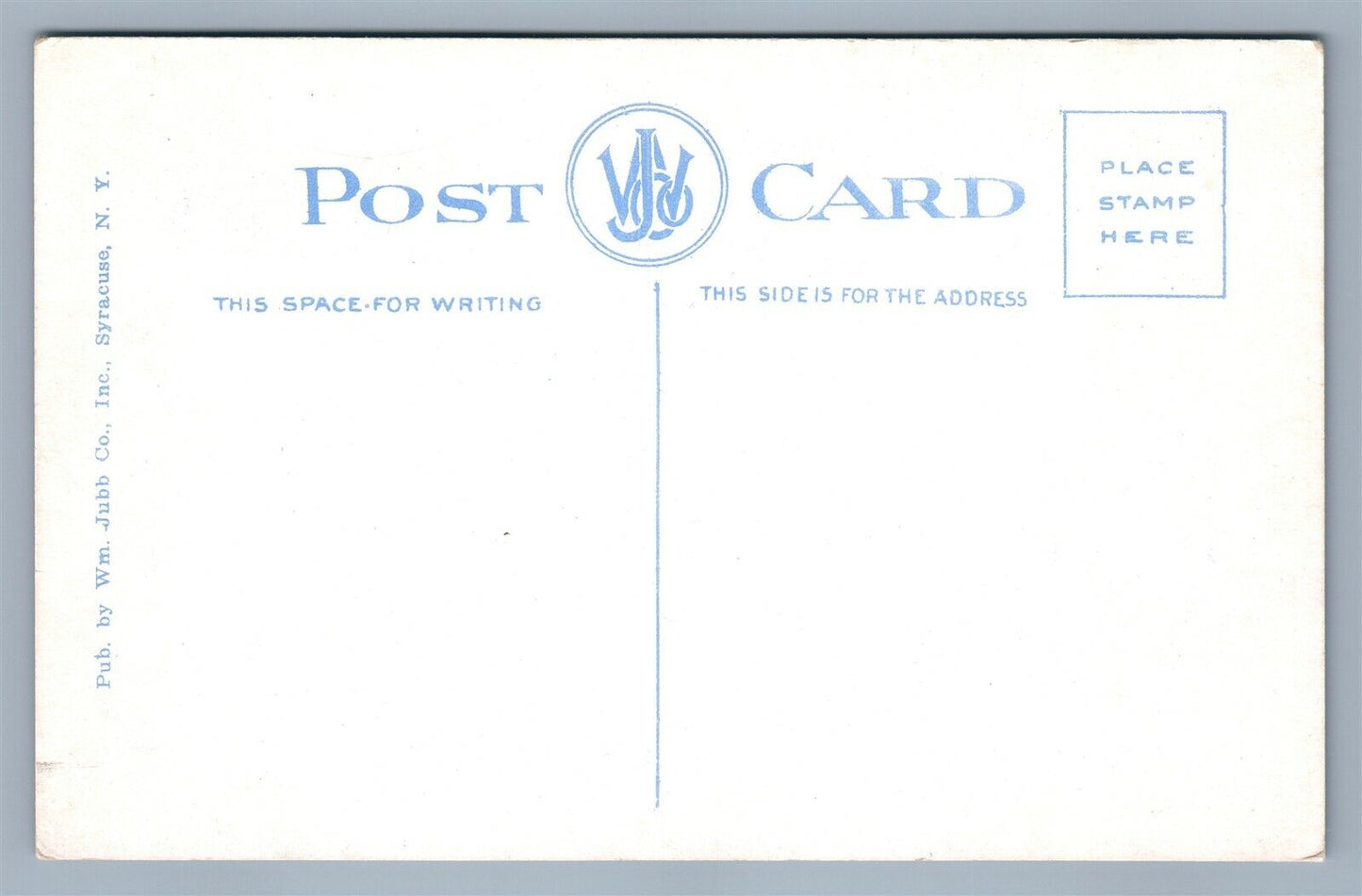 CARTHAGE NY STATE STREET LOOKING NORTH ANTIQUE POSTCARD