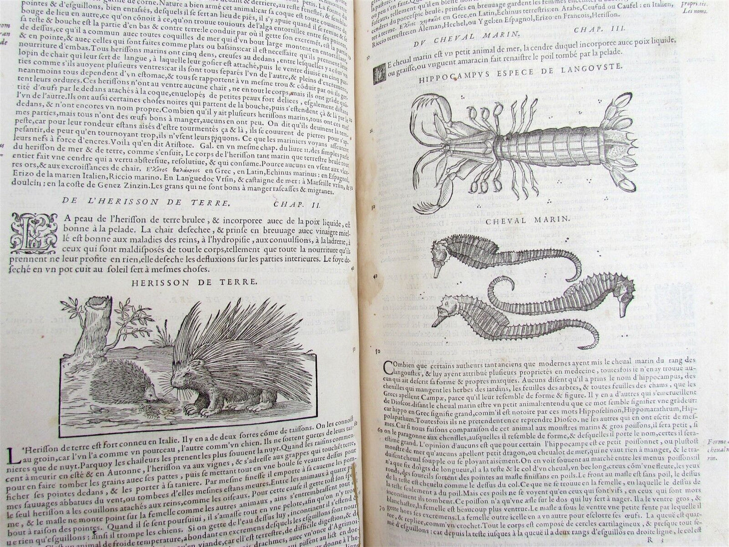 1579 MATTHIOLE COMMENTARIES ILLUSTRATED PLANTS ANIMALS antique 16th cent. FOLIO
