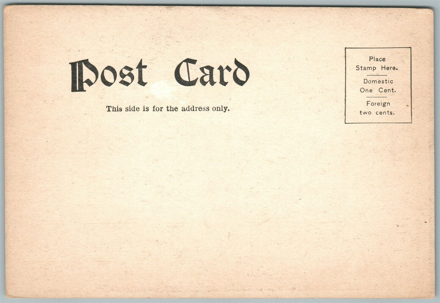 MULTIPLE BABIES in A STORK NEST ANTIQUE UNDIVIDED POSTCARD