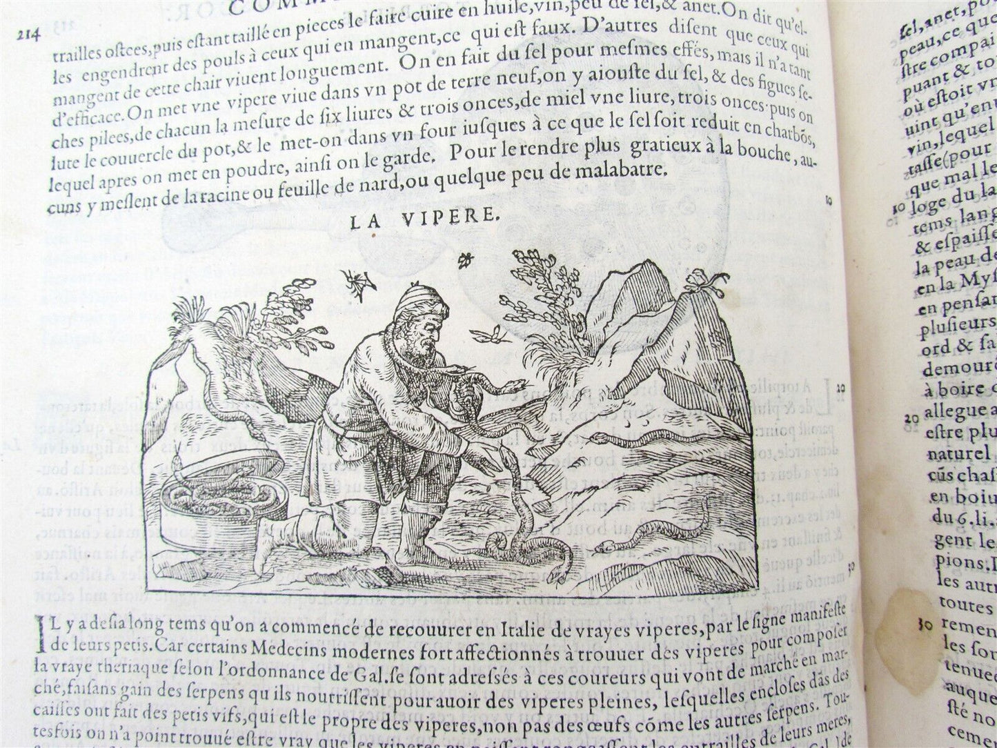 1579 MATTHIOLE COMMENTARIES ILLUSTRATED PLANTS ANIMALS antique 16th cent. FOLIO