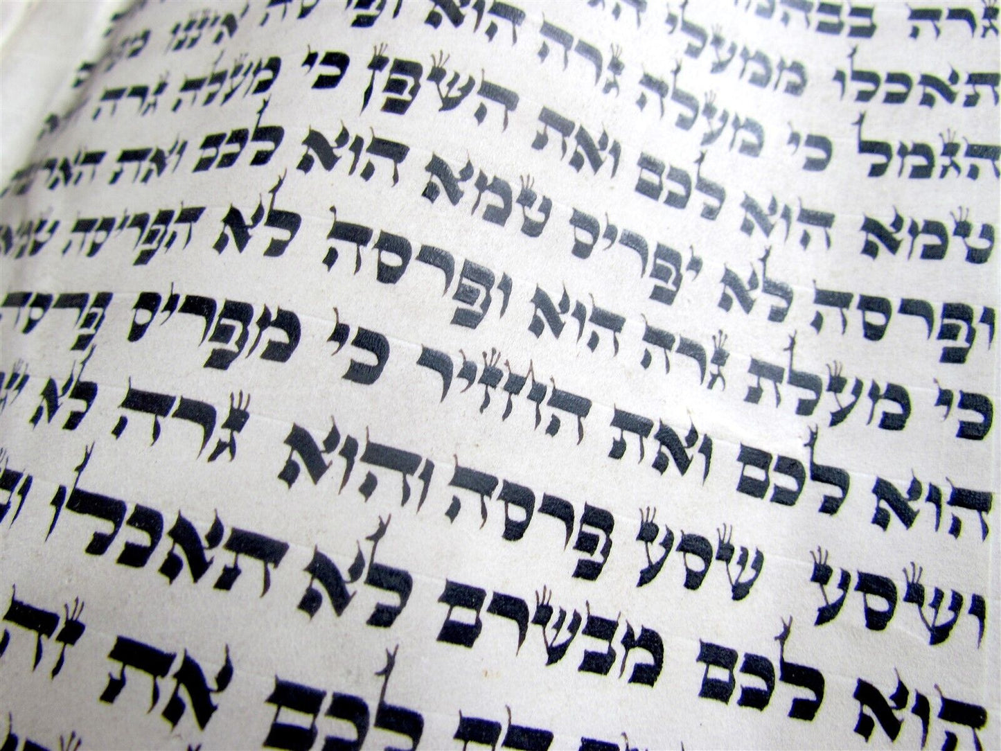TORAH SCROLL FRAGMENT MANUSCRIPT VELLUM ANTIQUE BIBLE LEVITICUS 8:17-11:22