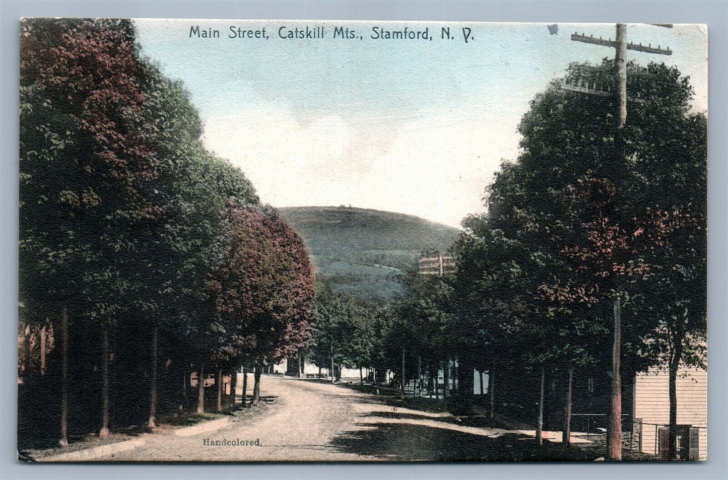 STAMFORD CATSKILL MTS NY MAIN STREET 1907 ANTIQUE POSTCARD