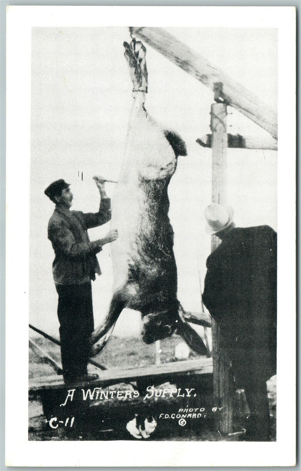 EXAGGERATED RABBIT WINTERS SUPPLY VINTAGE POSTCARD