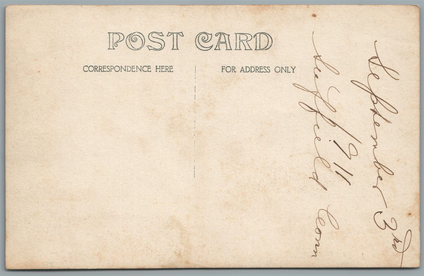 ENGLISH SETTER  DOG ANTIQUE REAL PHOTO POSTCARD RPPC