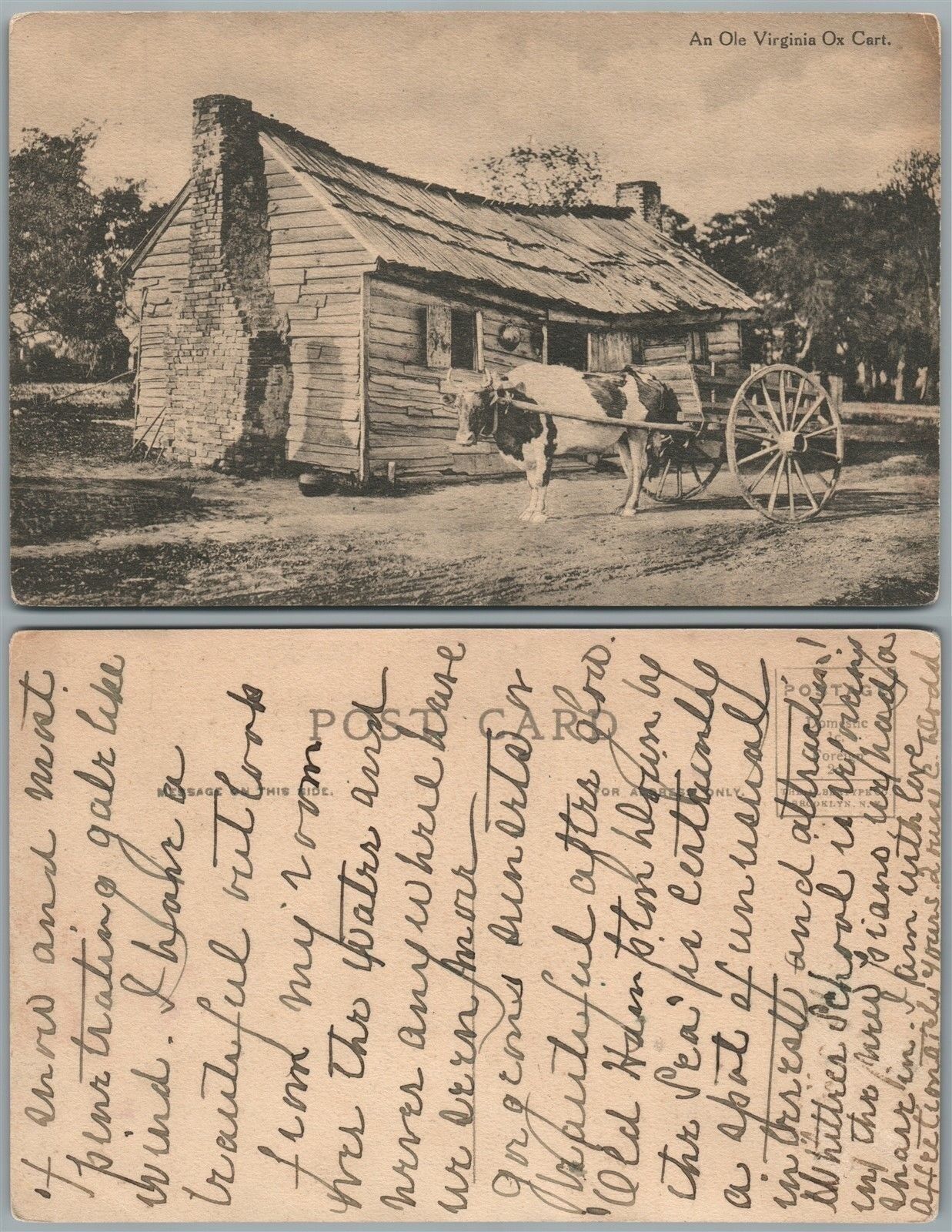 AN OLE VIRGINIA OX CART ANTIQUE POSTCARD