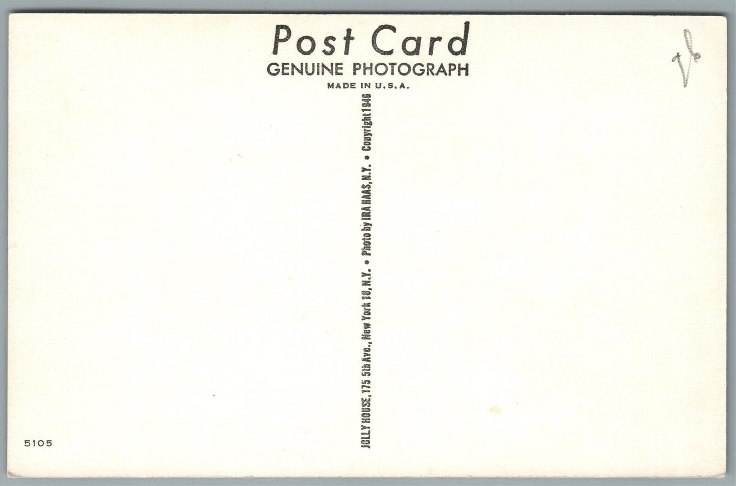 3 CATS IN THE BASKET ANTIQUE REAL PHOTO POSTCARD RPPC