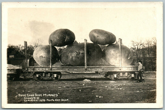 POTATOES on RAILWAY CAR EXAGGERATED ANTIQUE REAL PHOTO POSTCARD RPPC railroad