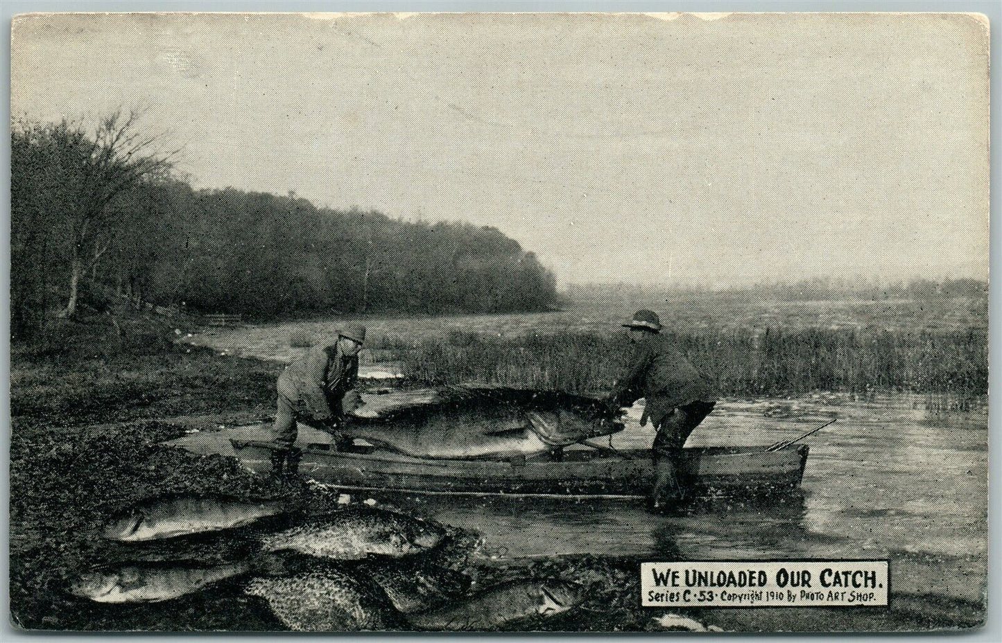 EXAGGERATED FISHING 1910 ANTIQUE POSTCARD WE UNLOADED OUR CATCH