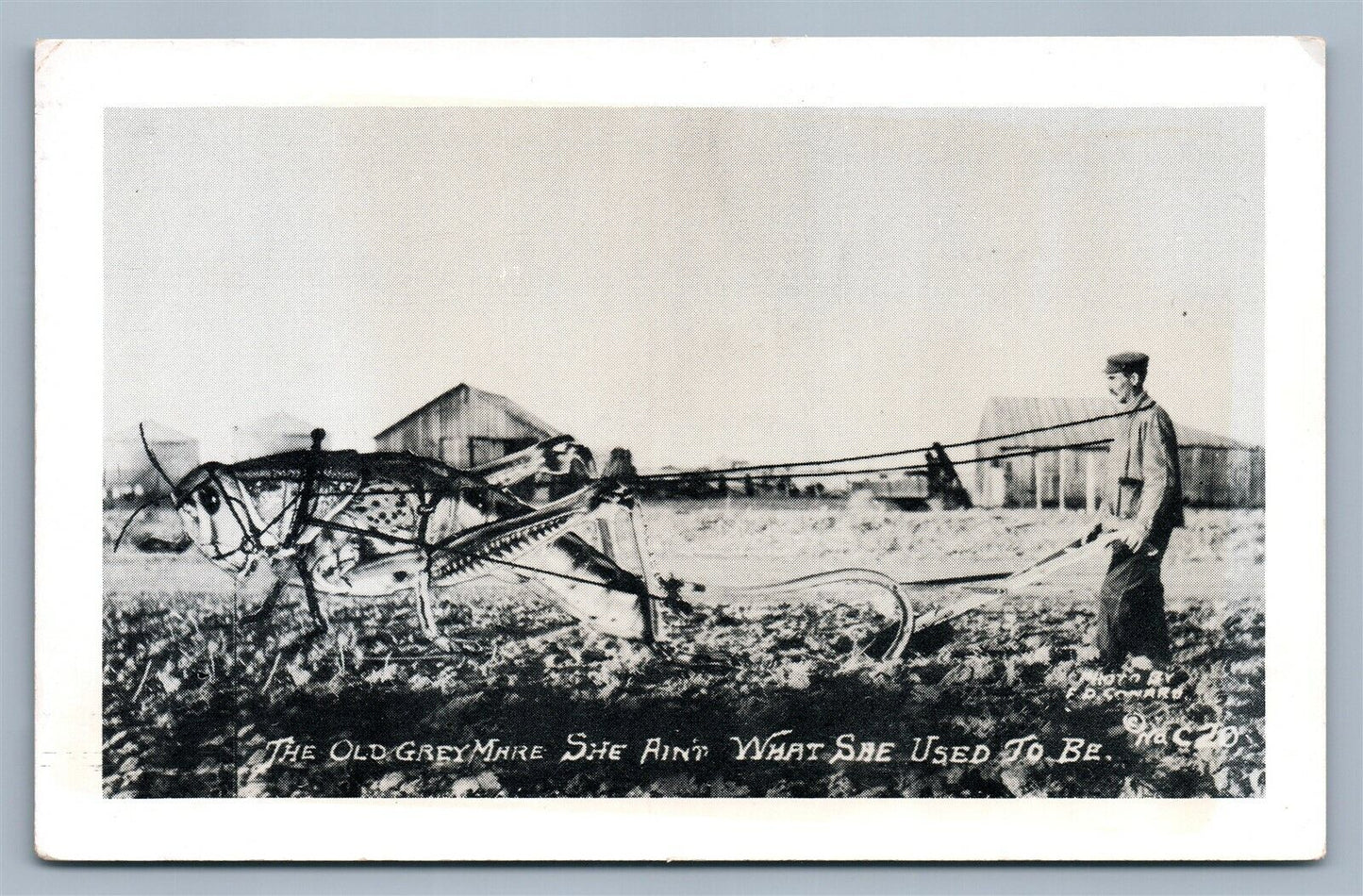 EXAGGERATED GRASSHOPPER FARMING VINTAGE REAL PHOTO POSTCARD RPPC