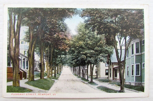 VINTAGE POSTCARD PLEASANT STREET NEWPORT VT