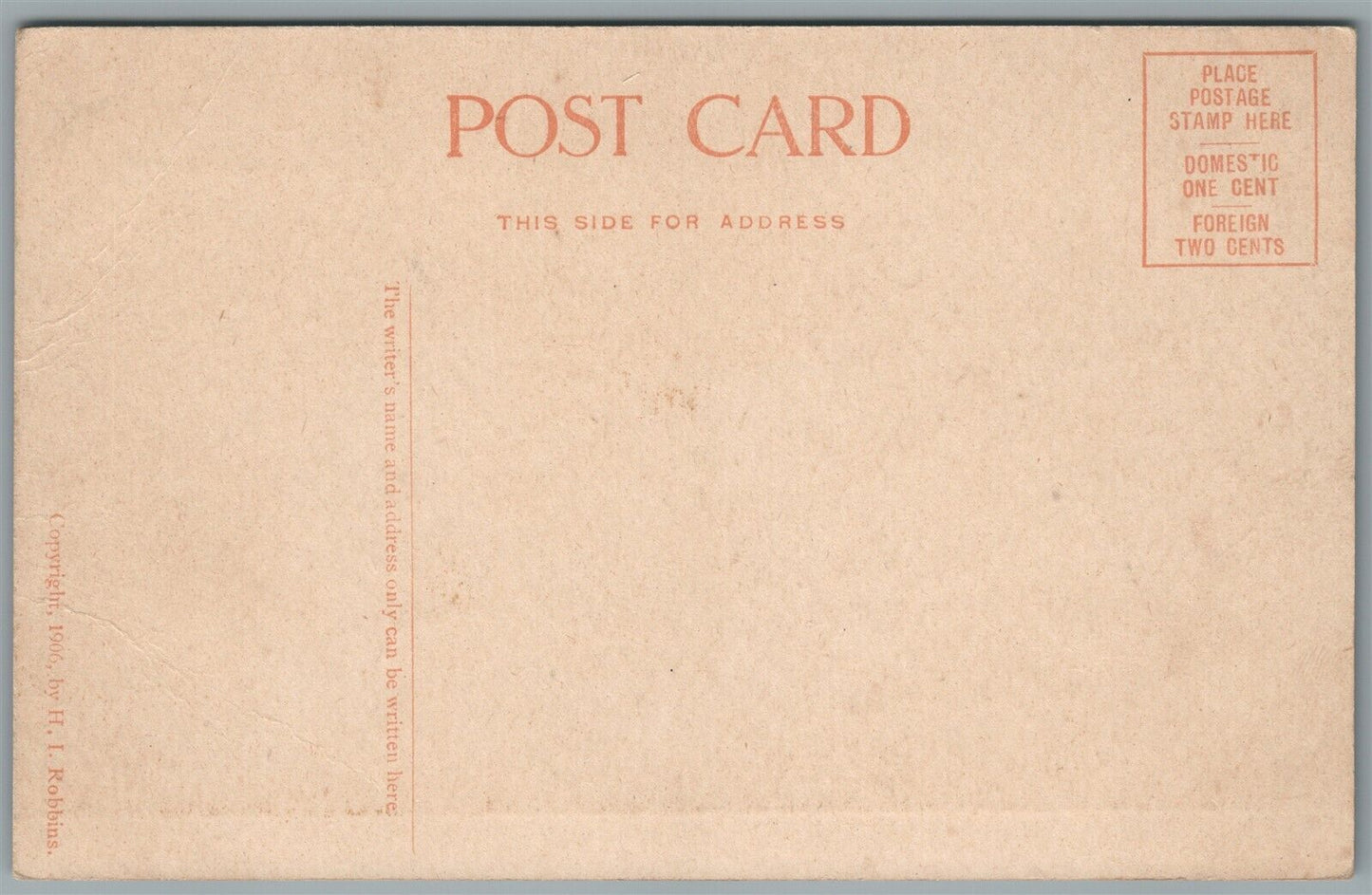 CATS in the LIBRARY ANTIQUE POSTCARD