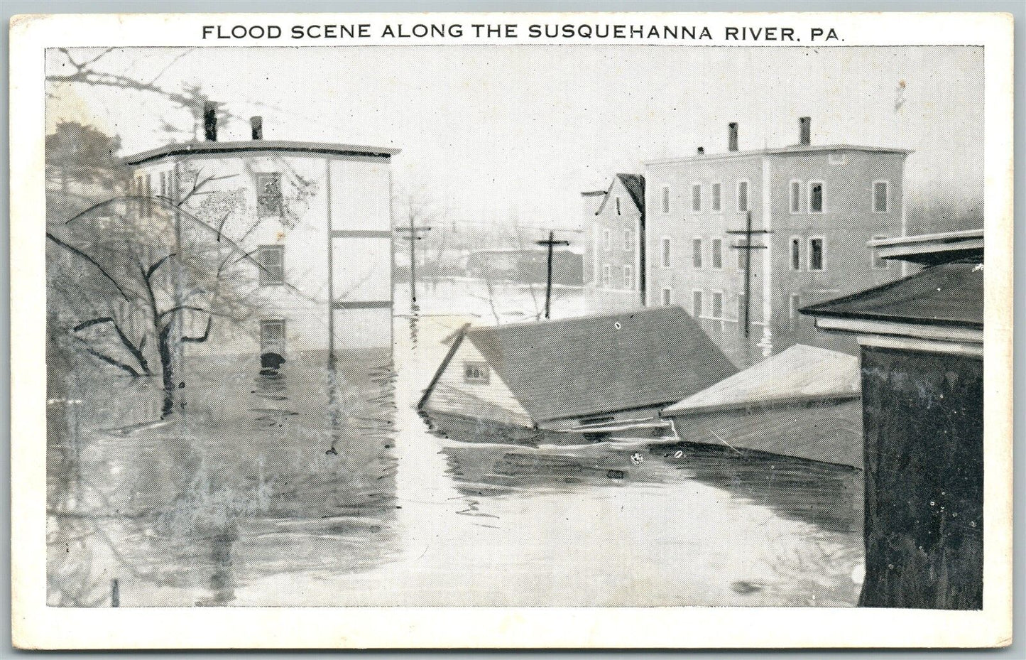 SUSQUEHANNA RIVER PA FLOOD SCENE ANTIQUE POSTCARD