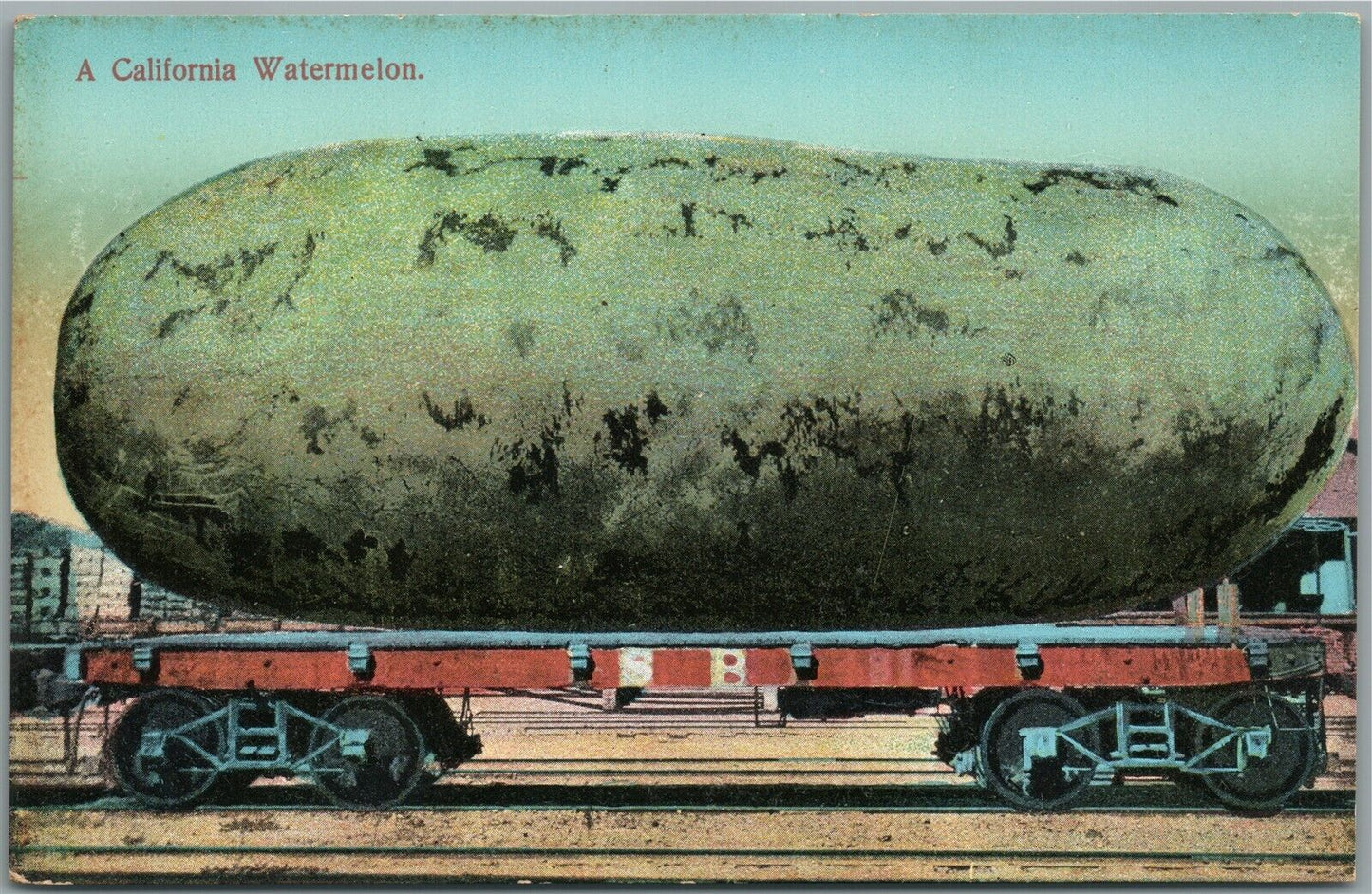 CALIFORNIA WATERMELON EXAGGERATED ANTIQUE POSTCARD