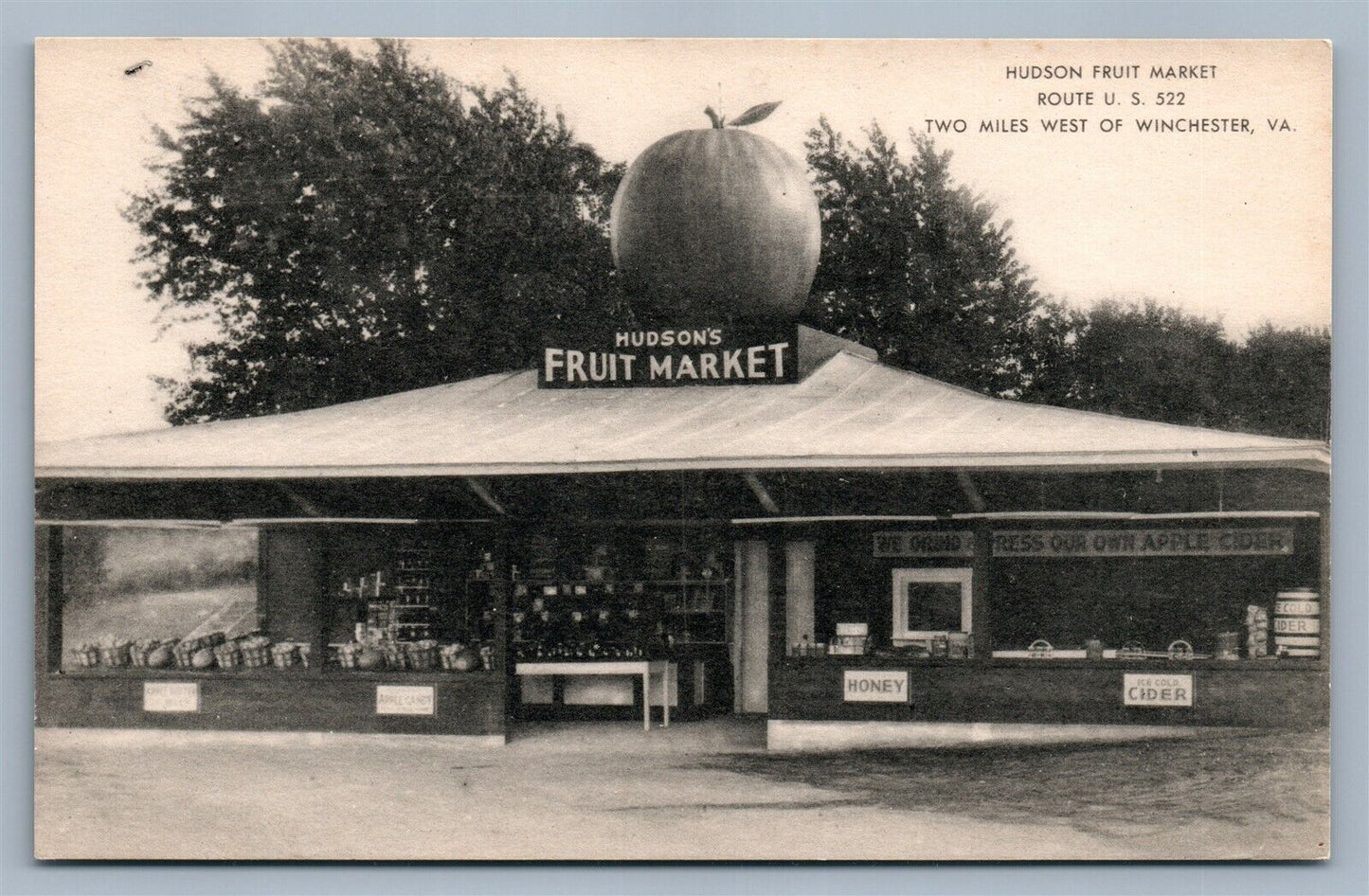 WINCHESTER VA HUDSON FRUIT MARKET VINTAGE POSTCARD