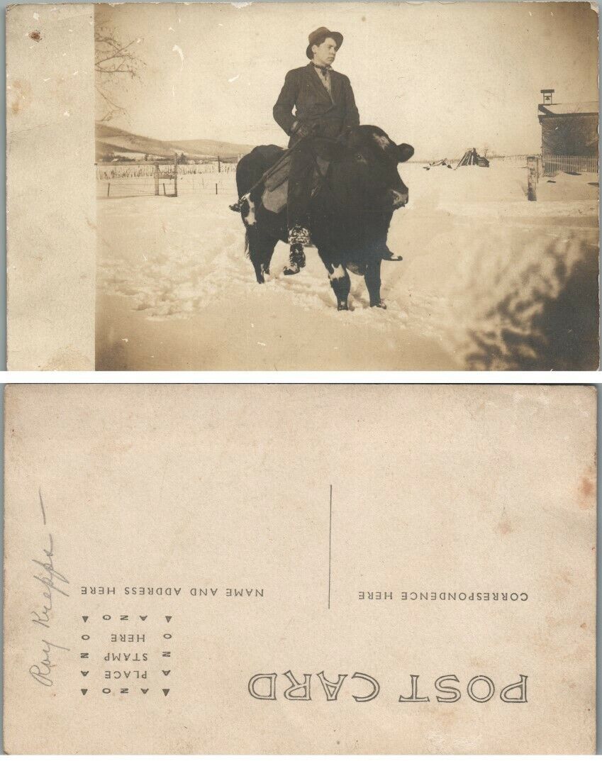 ANTIQUE RPPC REAL PHOTO POSTCARD - MAN ON BULL