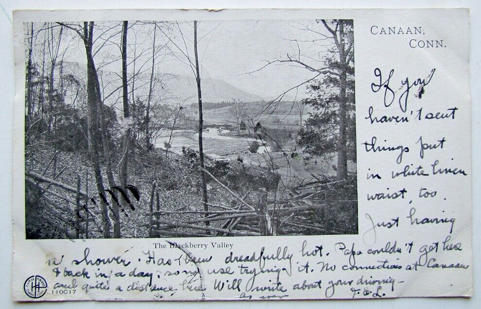 ANTIQUE 1905 UNDIVIDED POSTCARD BLACKBERRY VALLEY CANAAN CONN.