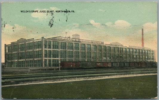 NORTH EAST PA WELCH'S GRAPE JUICE PLANT ANTIQUE POSTCARD