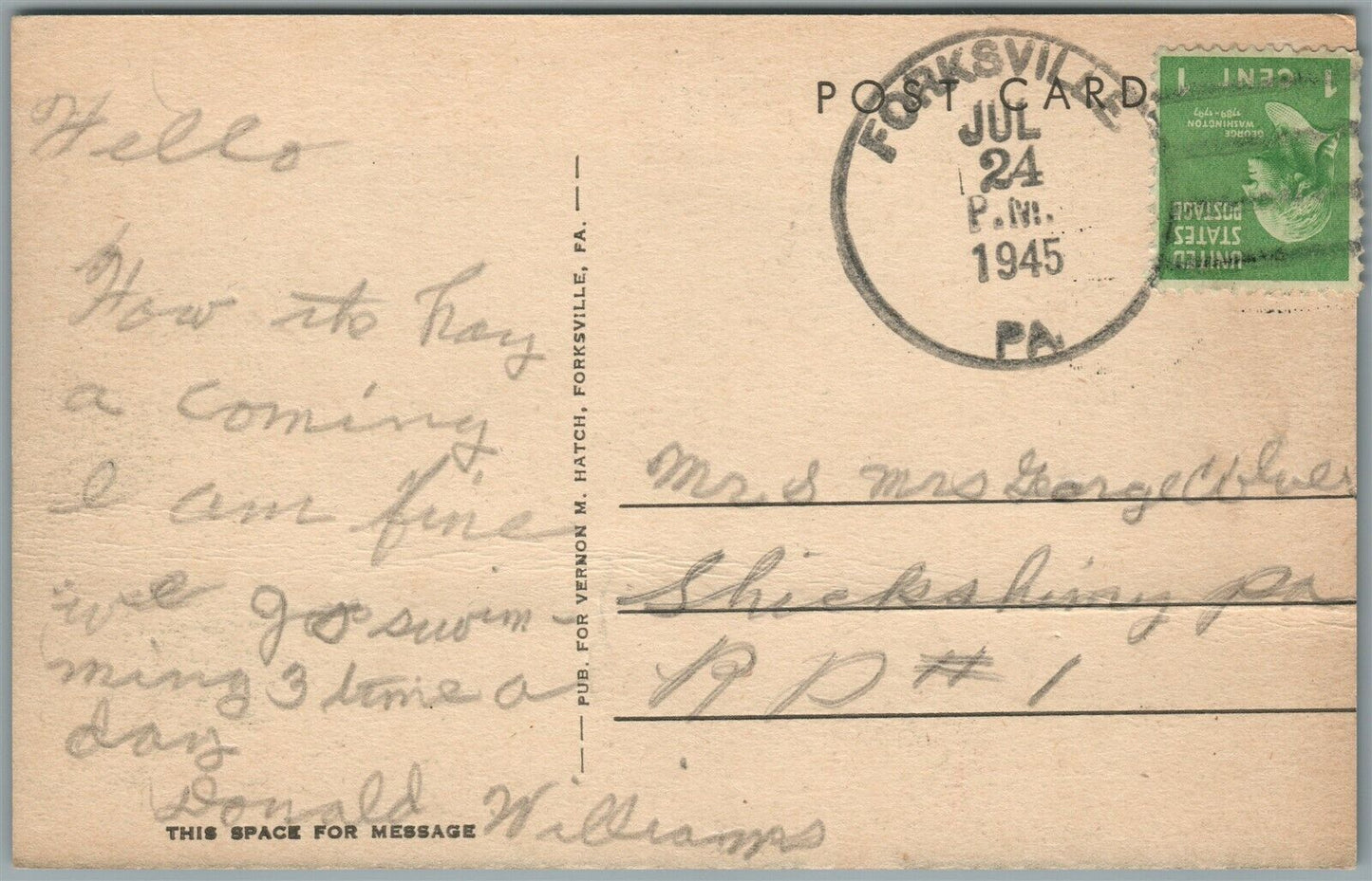 FORKSVILLE PA LOYALSOCK CREEK VINTAGE POSTCARD